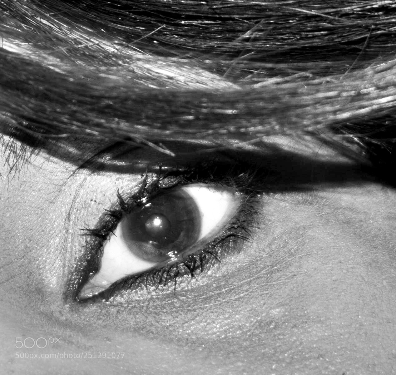 Nikon D5600 sample photo. Eye to eye photography