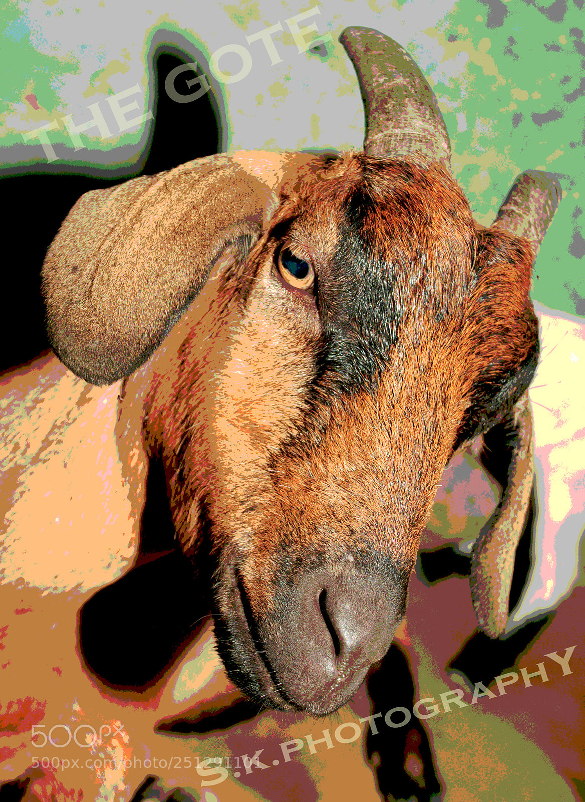 Nikon D3000 sample photo. Copy photography