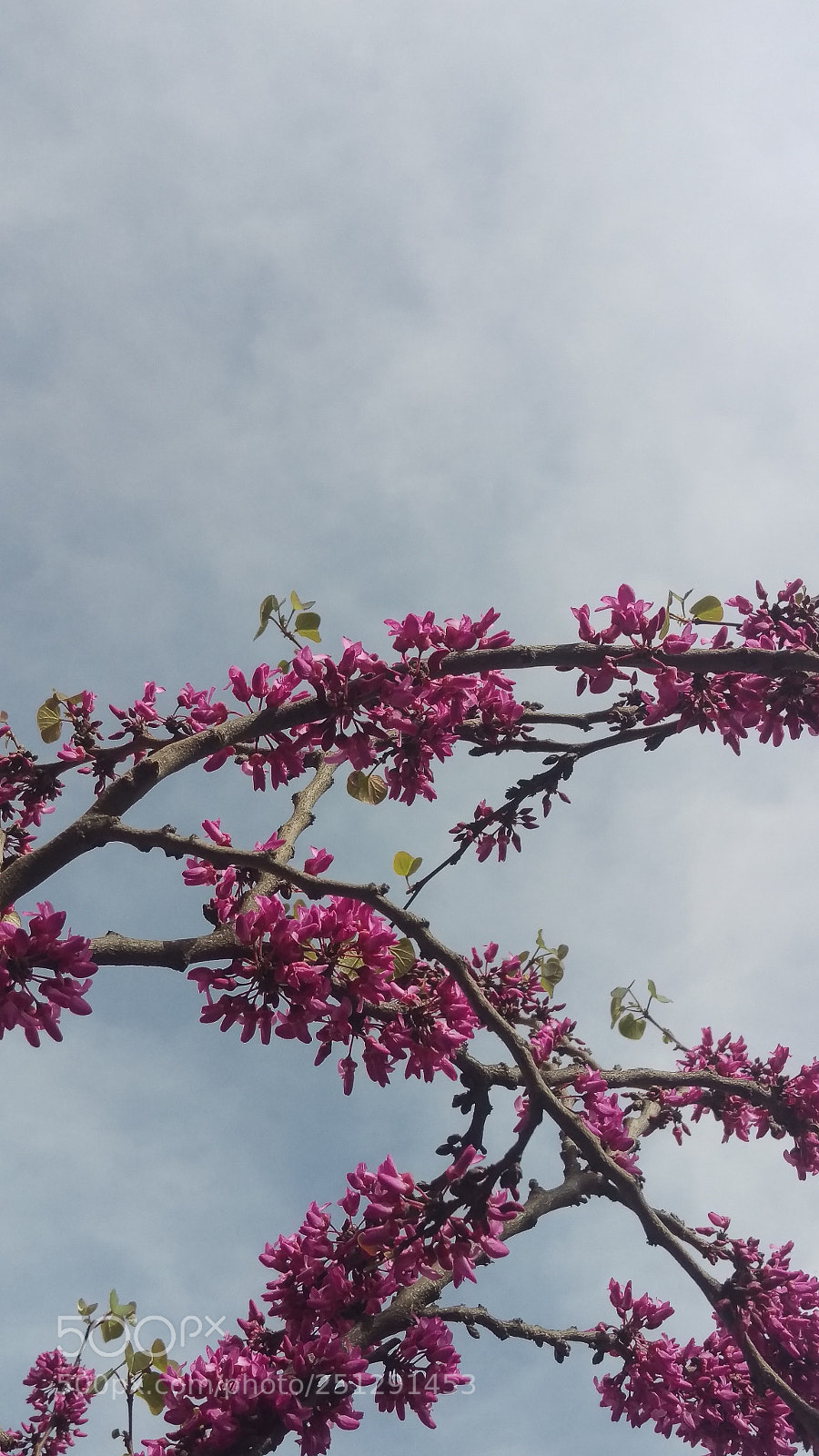 HTC ONE M9 sample photo. Colorful curves photography
