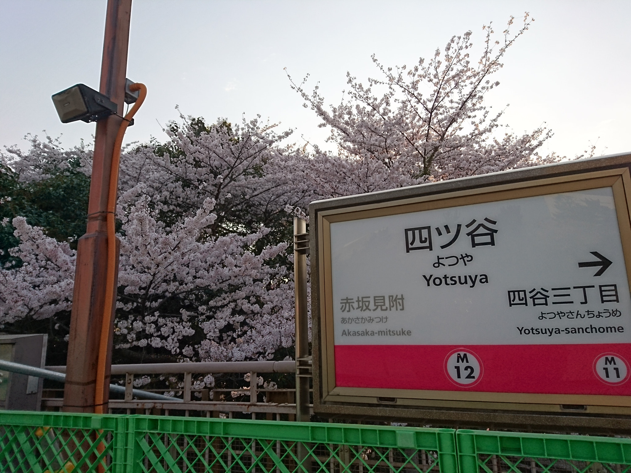 Sony Xperia Z5 sample photo. Cherry blossom tree at subway station photography