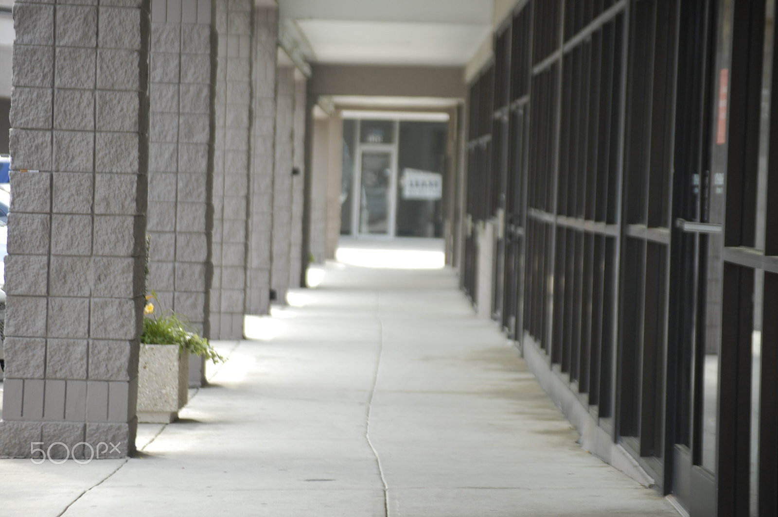 Nikon D40 sample photo. Sidewalk photography