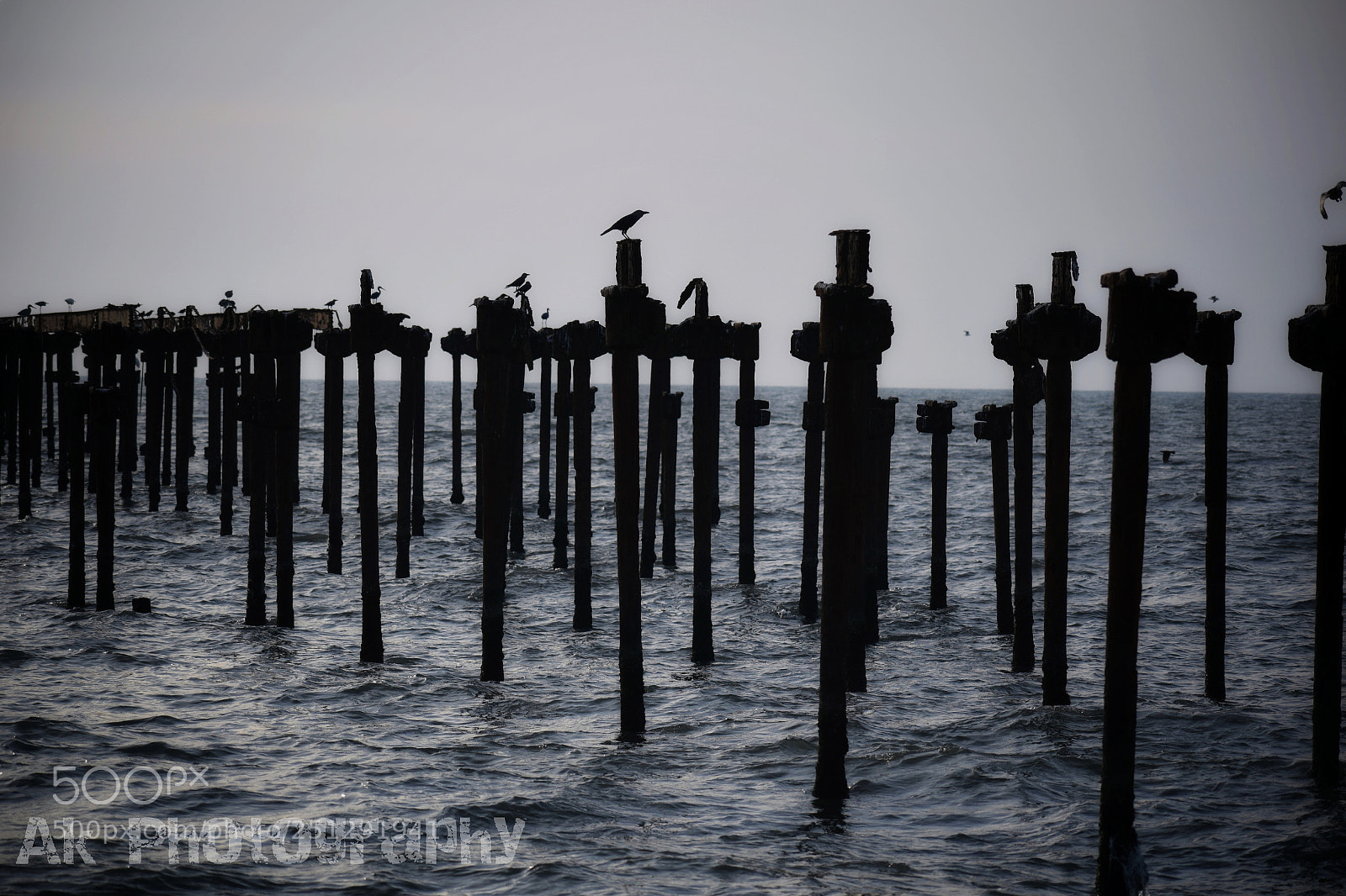 Nikon D3300 sample photo. The pier photography