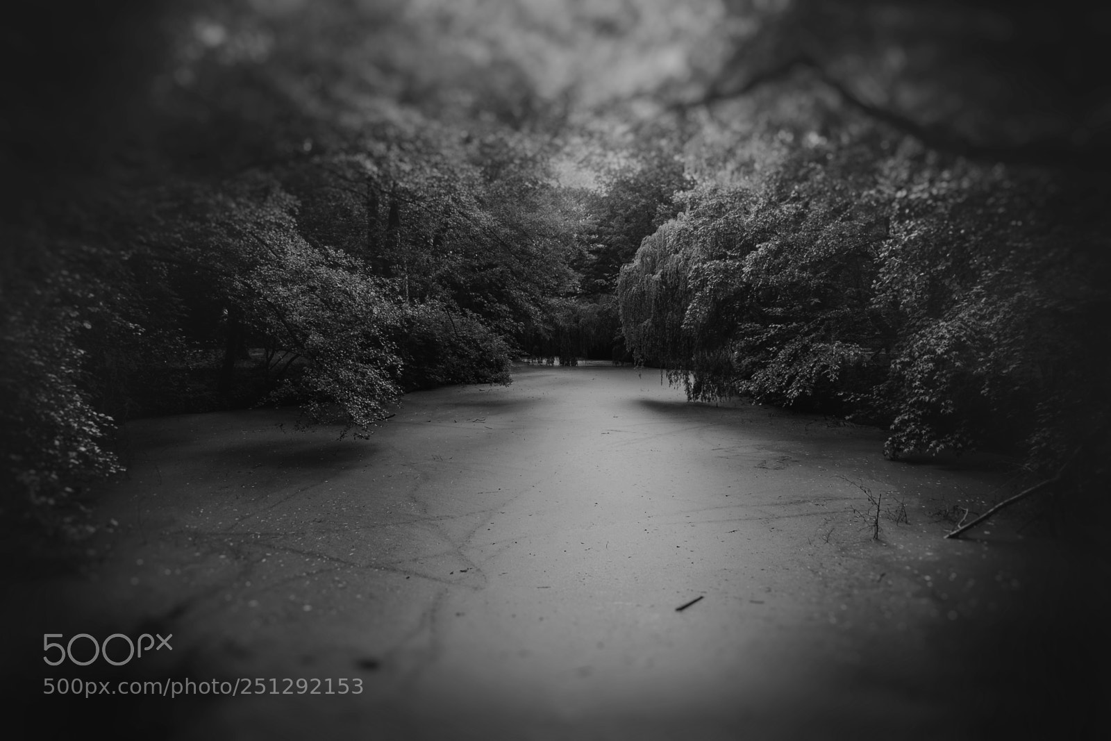 Fujifilm X-T1 sample photo. Refugium photography