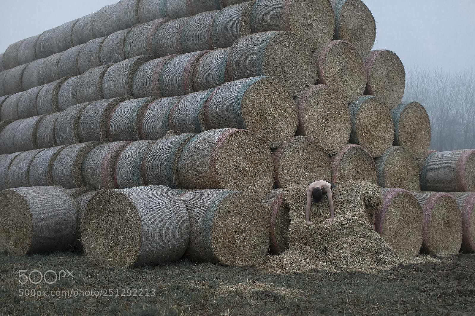 Canon EOS 5D Mark II sample photo. Consequences photography