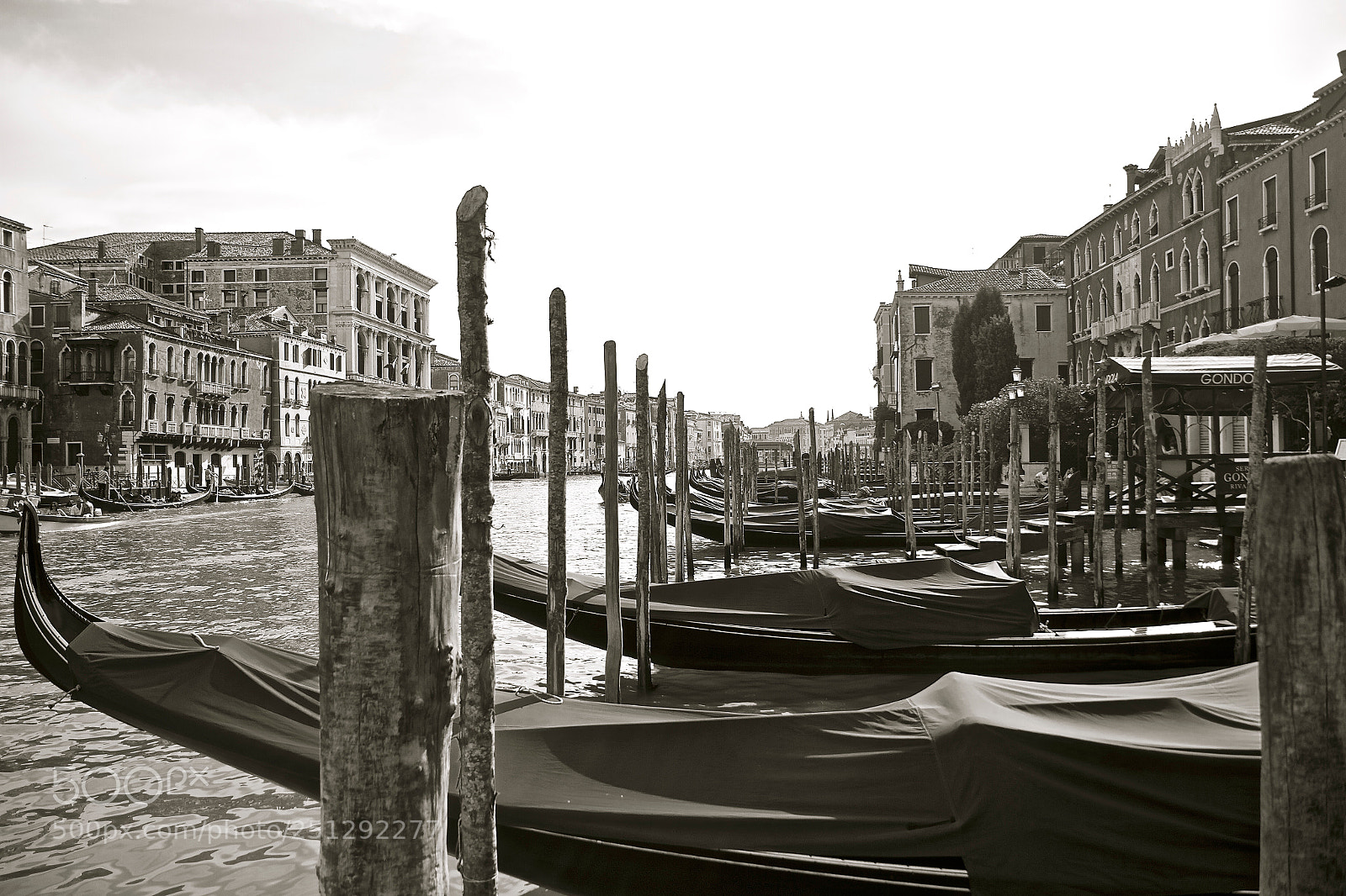 Canon EOS 7D sample photo. Venice photography
