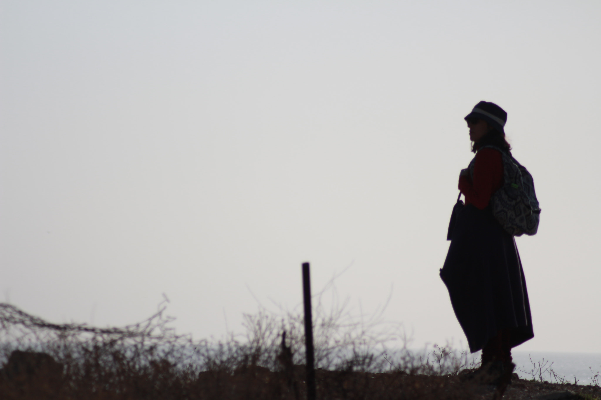 Canon EOS 700D (EOS Rebel T5i / EOS Kiss X7i) sample photo. Forward photography