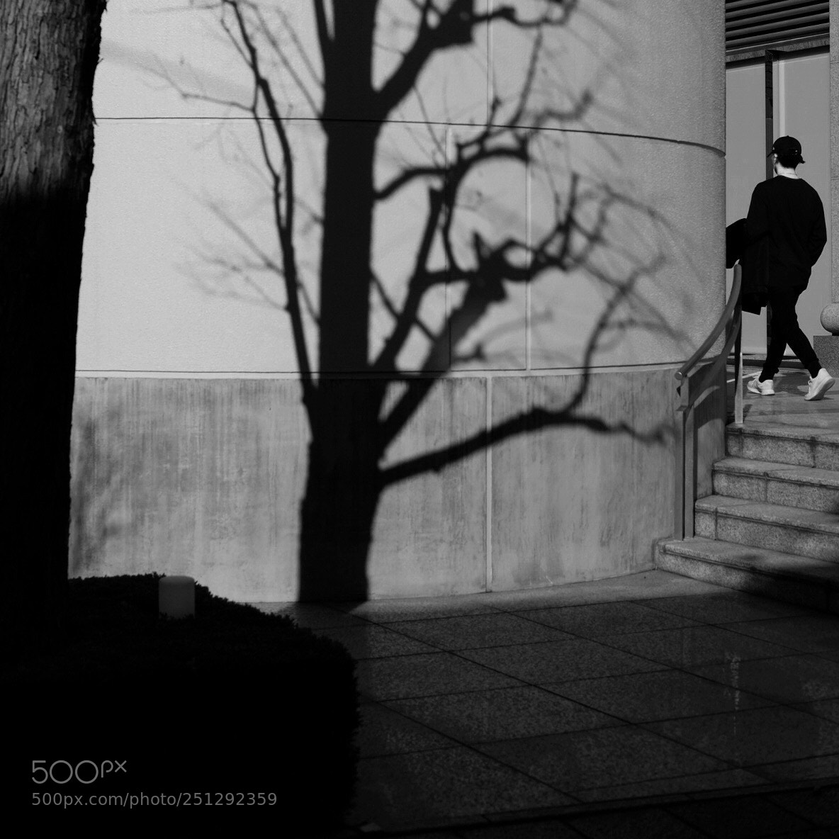 Fujifilm X-E2 sample photo. Monotone x-e2 snapseed photography