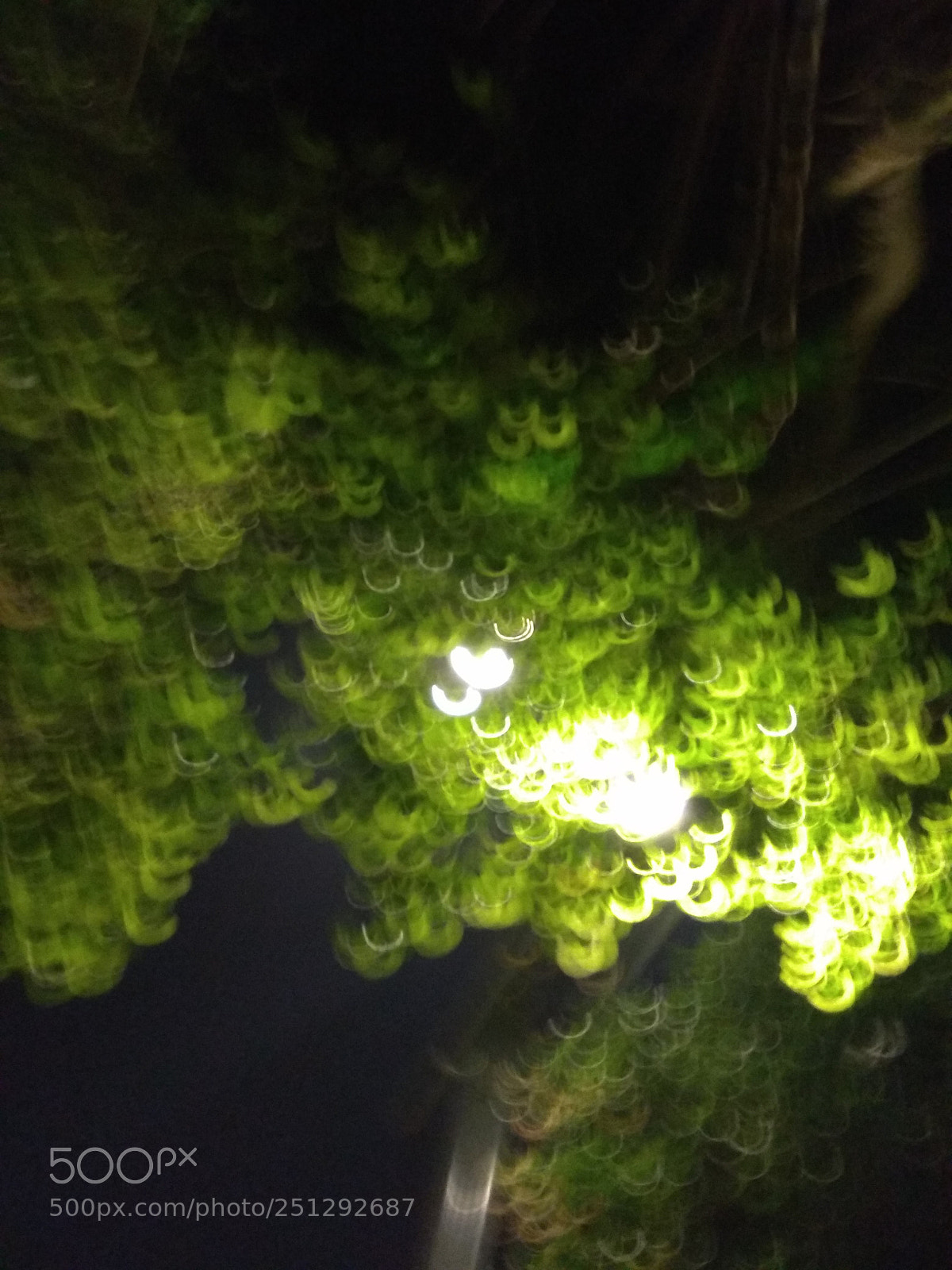 Xiaomi Redmi Note 4X sample photo. Untitled photography