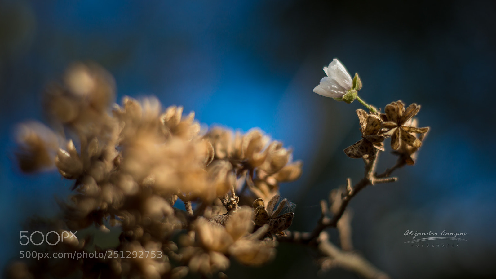 Nikon D3200 sample photo. Waiting... photography