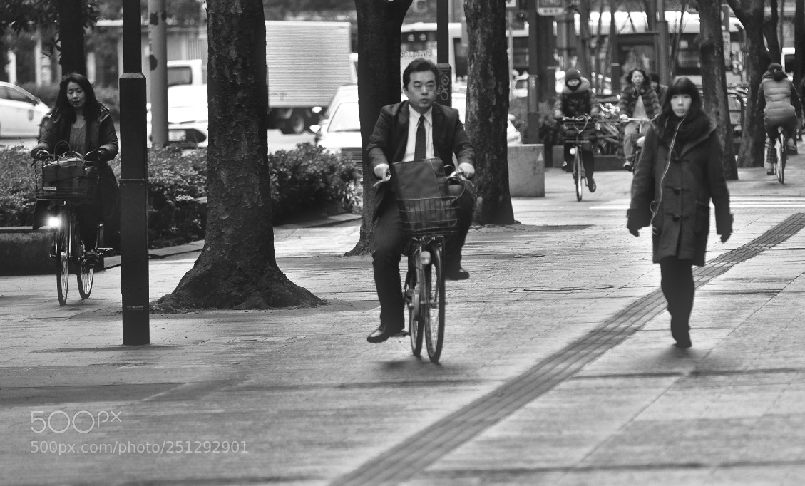 Fujifilm X-T2 sample photo. Untitled photography