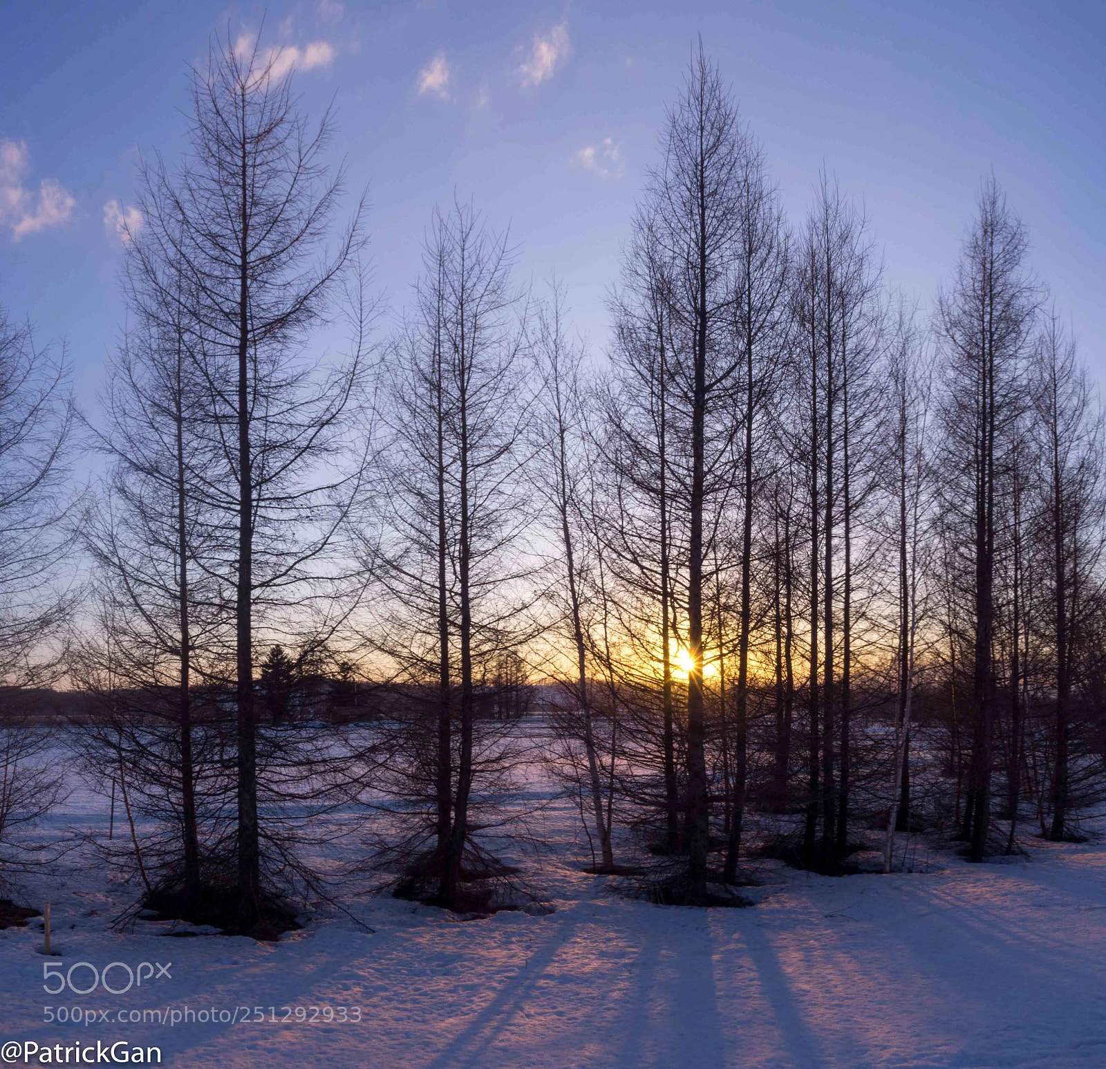 Olympus PEN E-P5 sample photo. Sunset ? in biei hokkaido photography