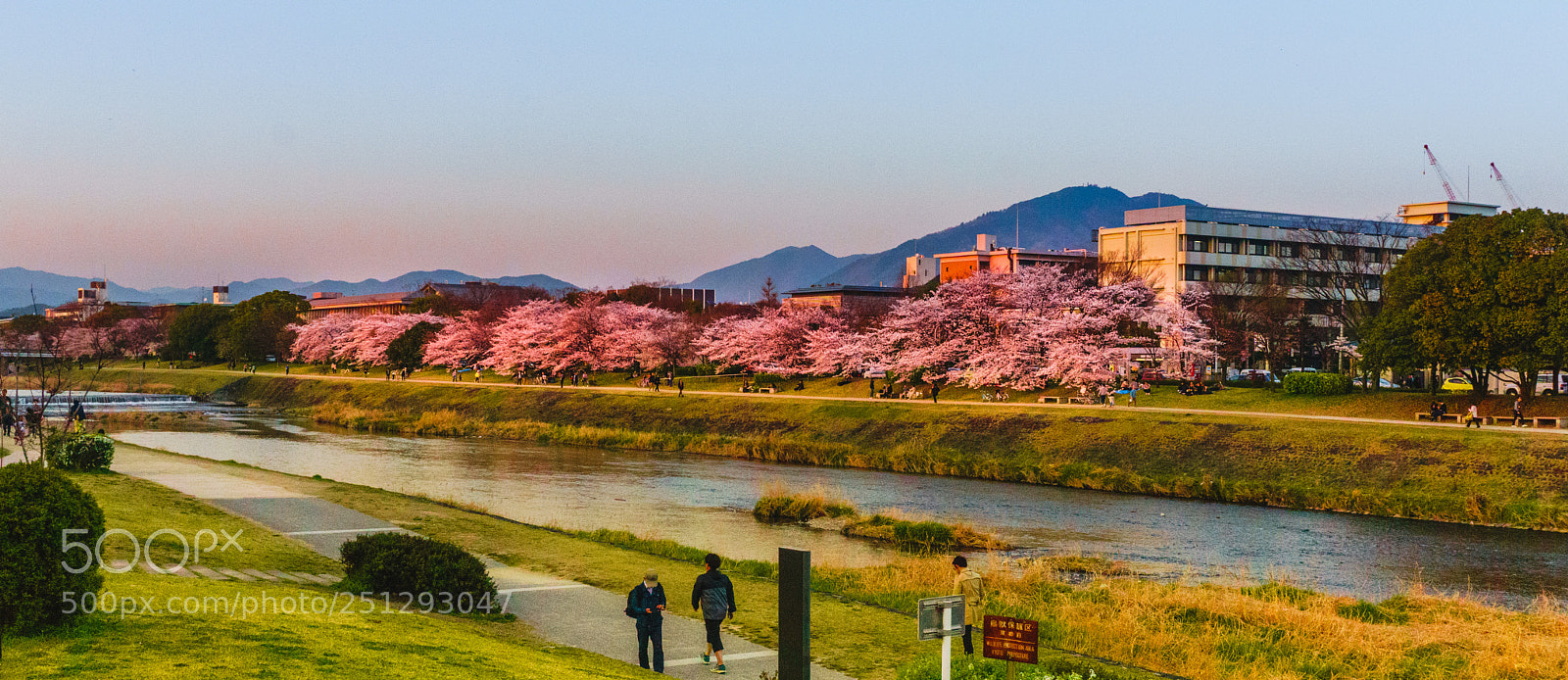 Sony a6000 sample photo. View of horikawa photography