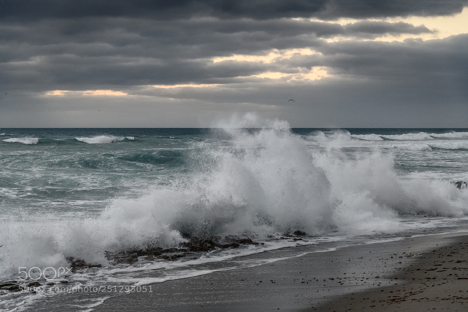 Nikon D850 sample photo. Surf's up! photography