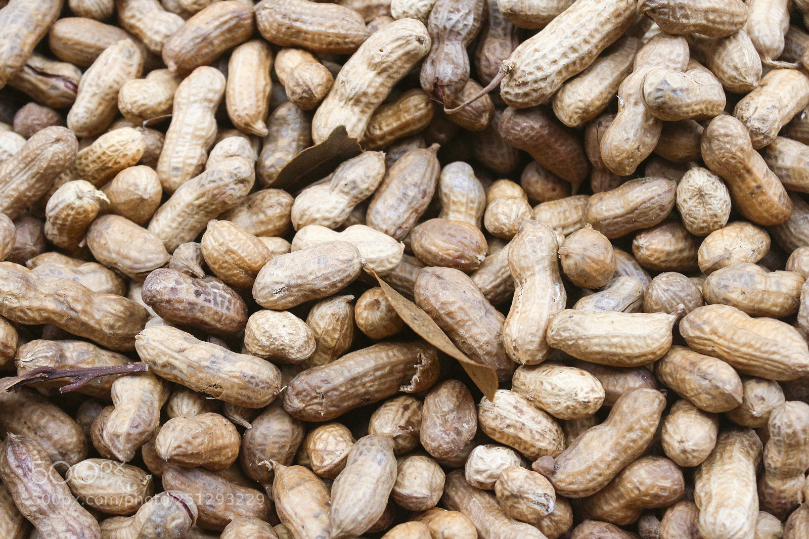 Canon EOS 650D (EOS Rebel T4i / EOS Kiss X6i) sample photo. Peanuts in shell. photography