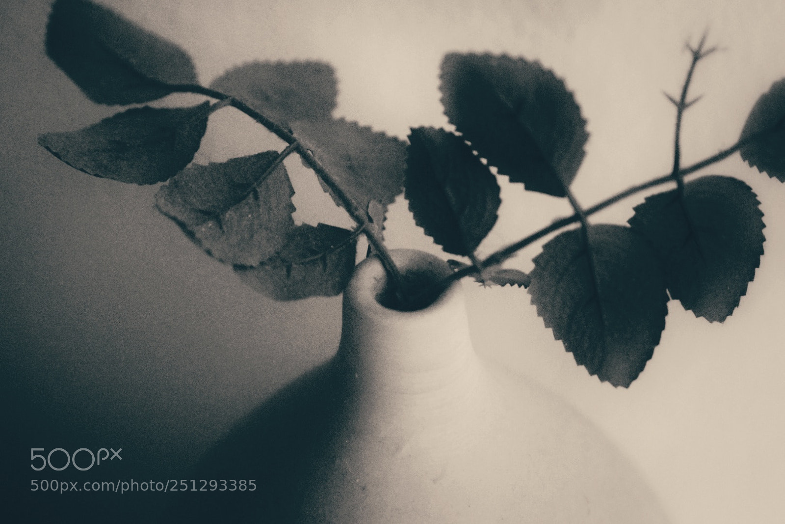 Nikon D5300 sample photo. Untitled photography