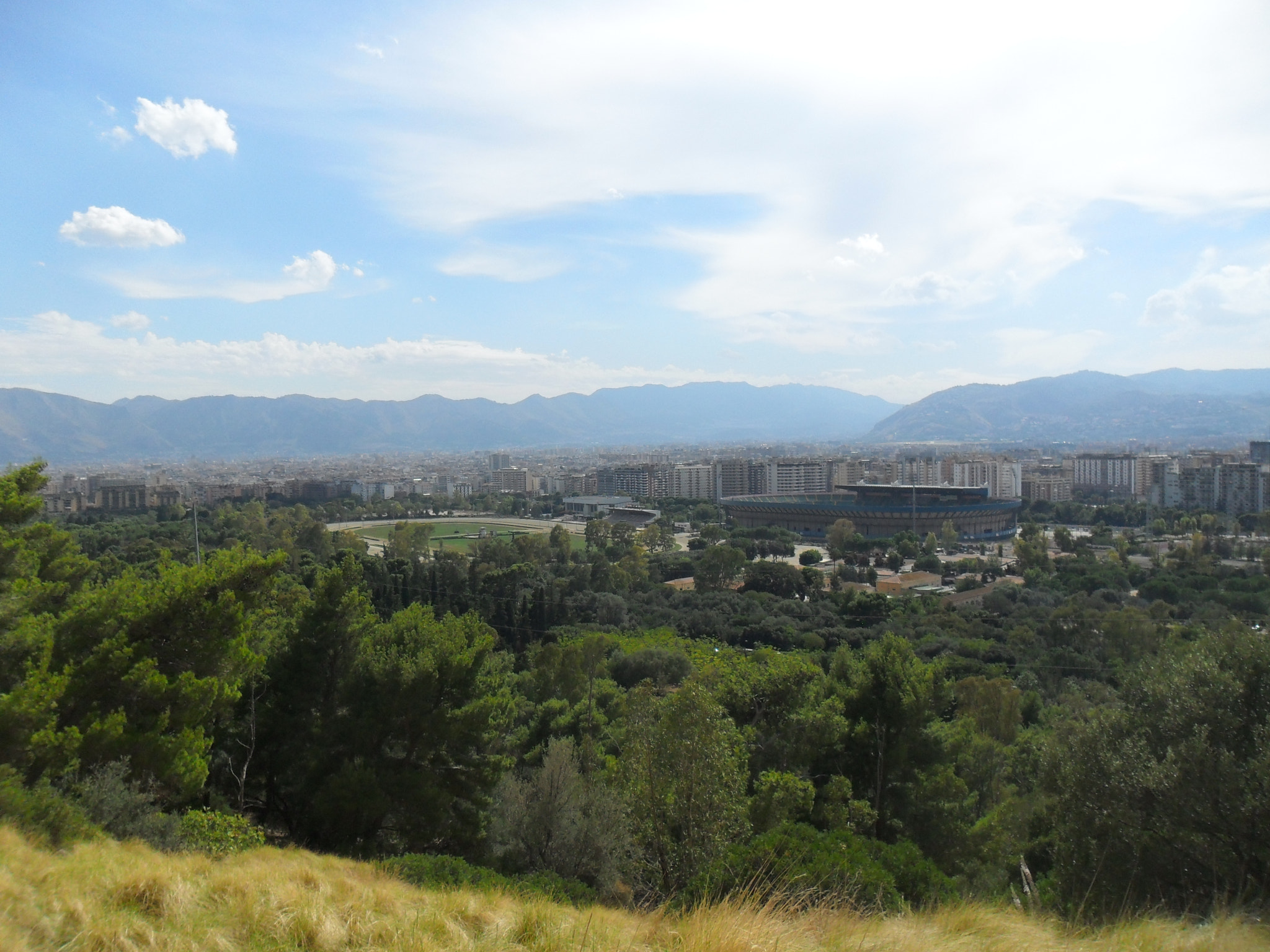 Samsung ES65, ES67 / VLUU ES65, ES67 /  SL50 sample photo. Favorita park photography