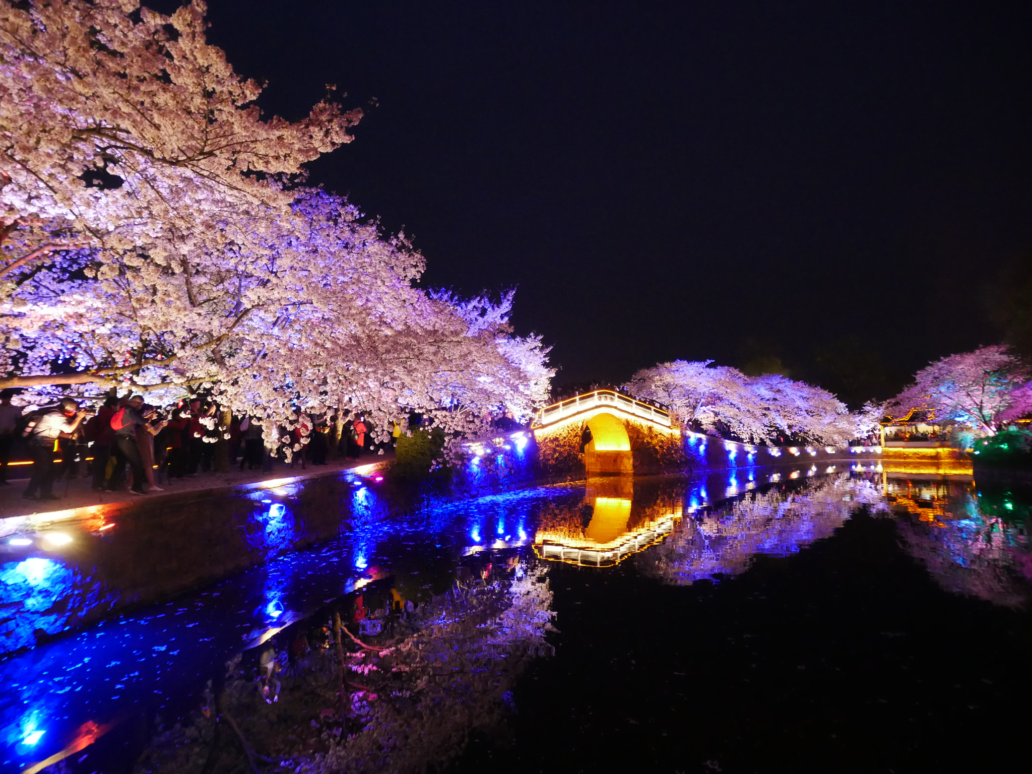 Panasonic Lumix DC-GX850 (Lumix DC-GX800 / Lumix DC-GF9) sample photo. Changchun bridge of yuantouzhu garden, taihu lake in night photography