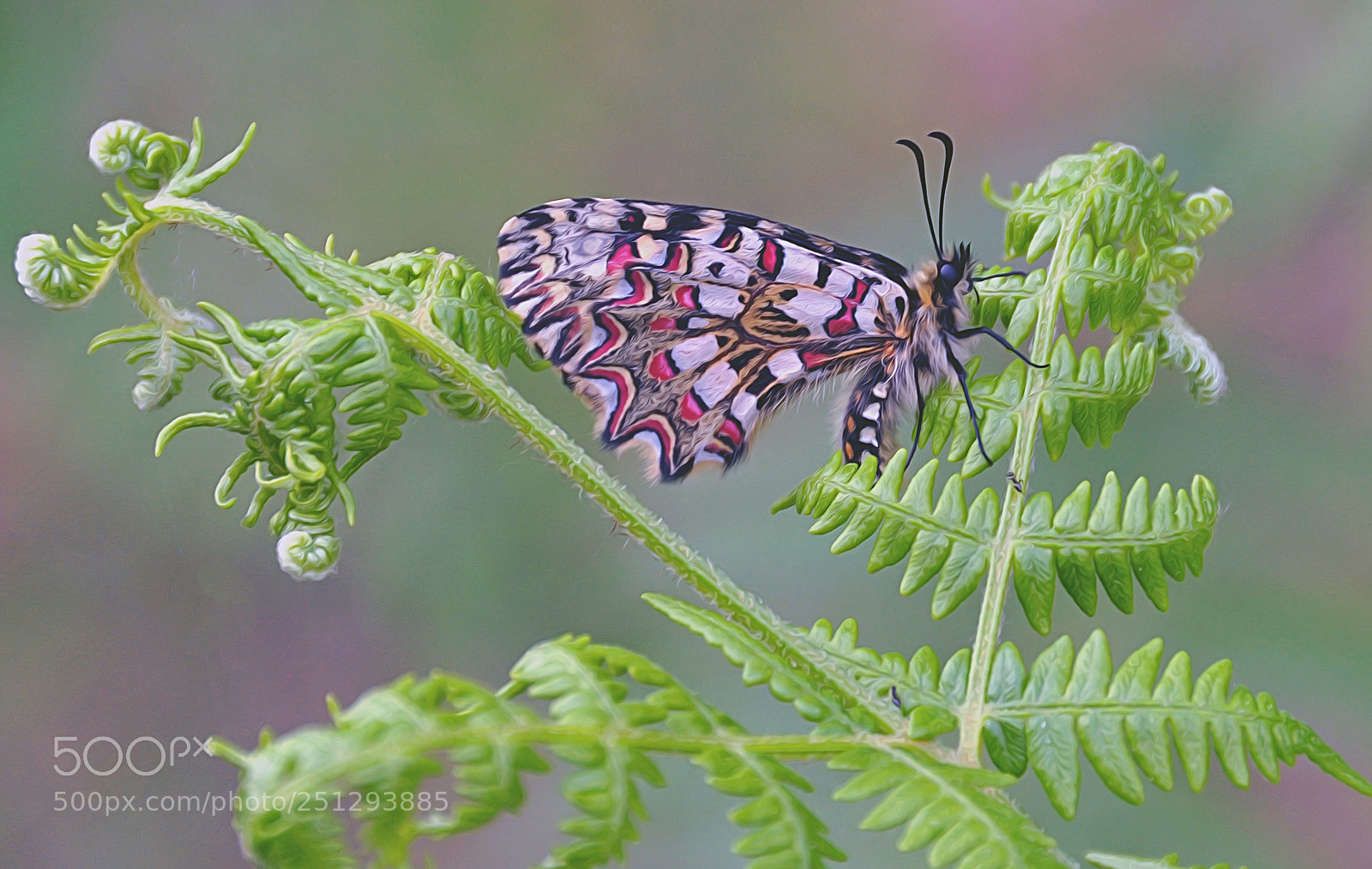 Nikon D90 sample photo. ...:-) photography