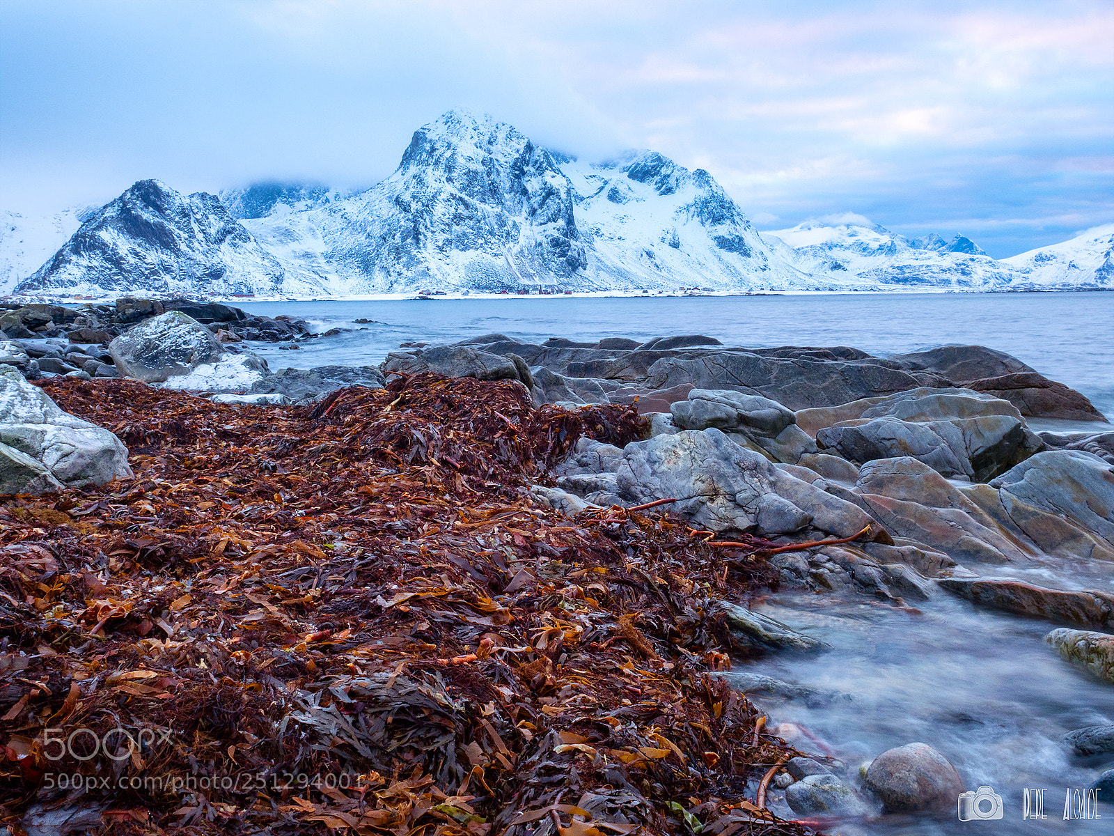 Olympus OM-D E-M1 Mark II sample photo. Lofoten photography