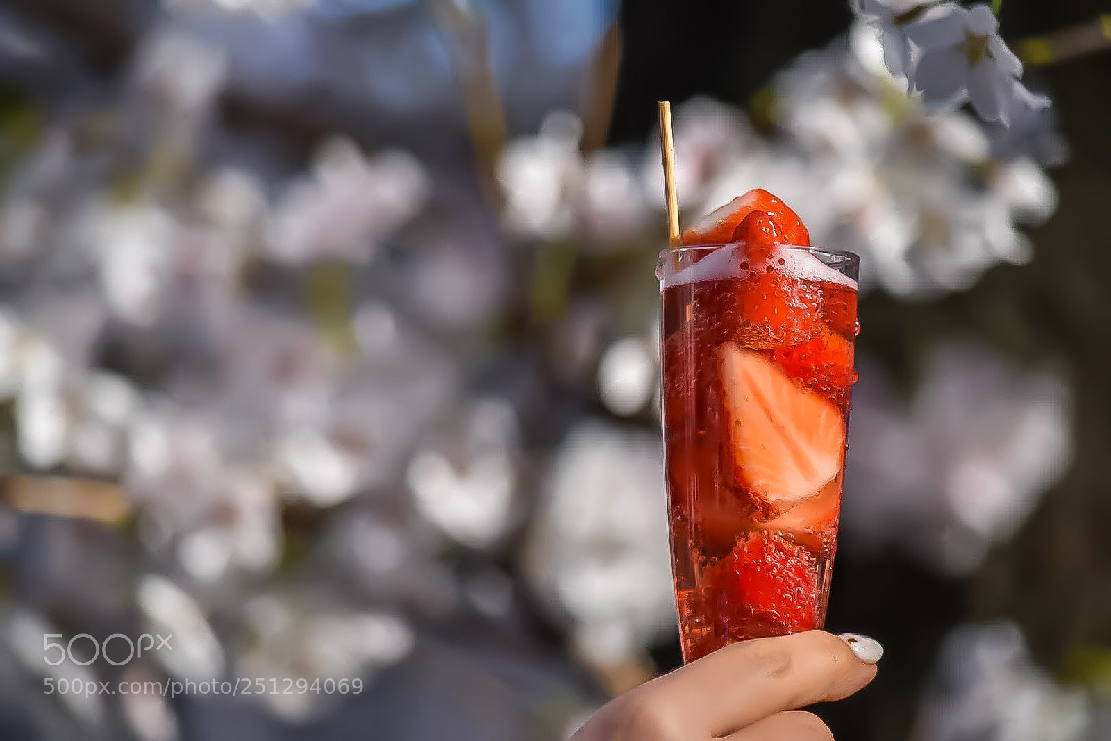 Nikon D5500 sample photo. Untitled photography