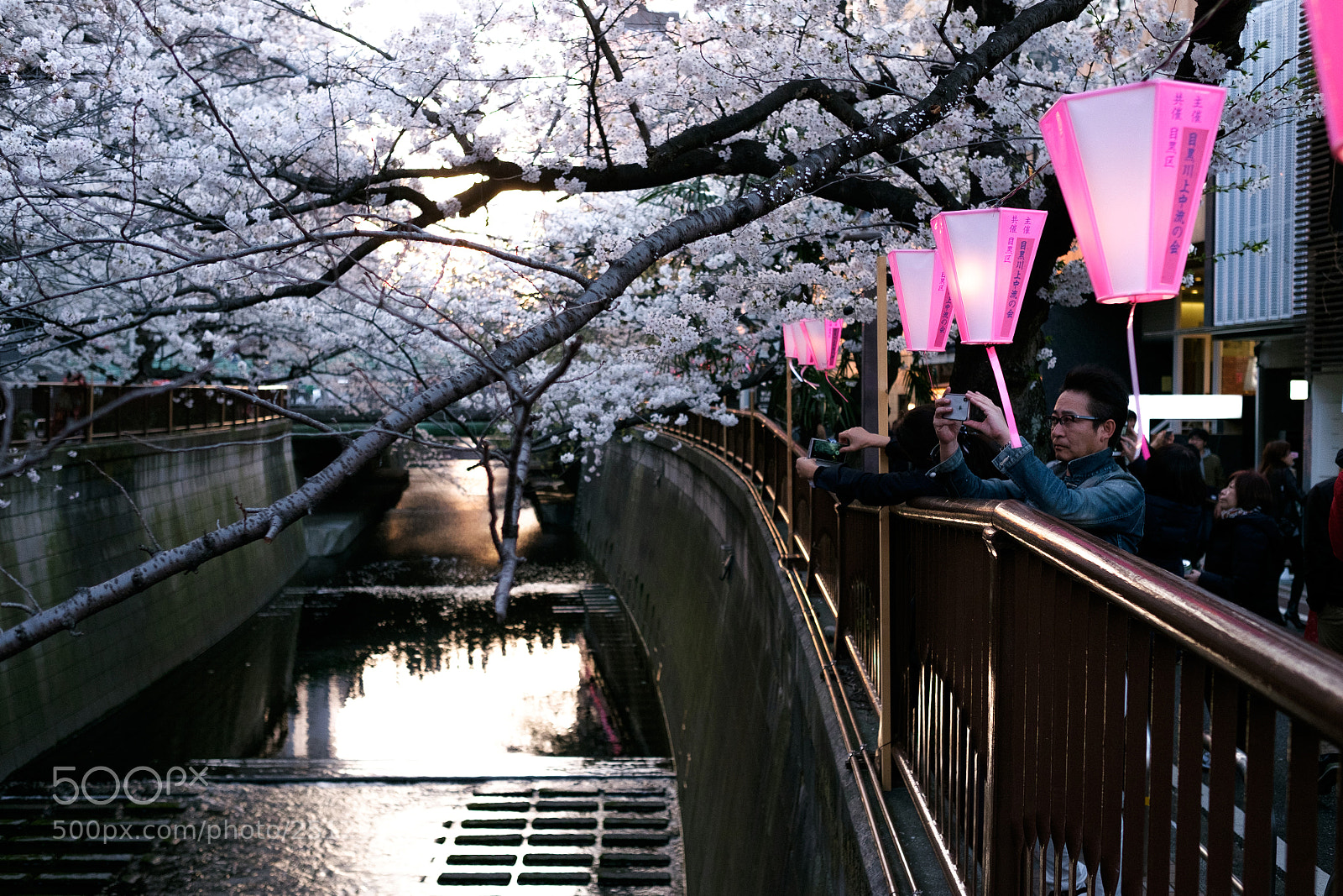 Fujifilm X-T10 sample photo. Untitled photography