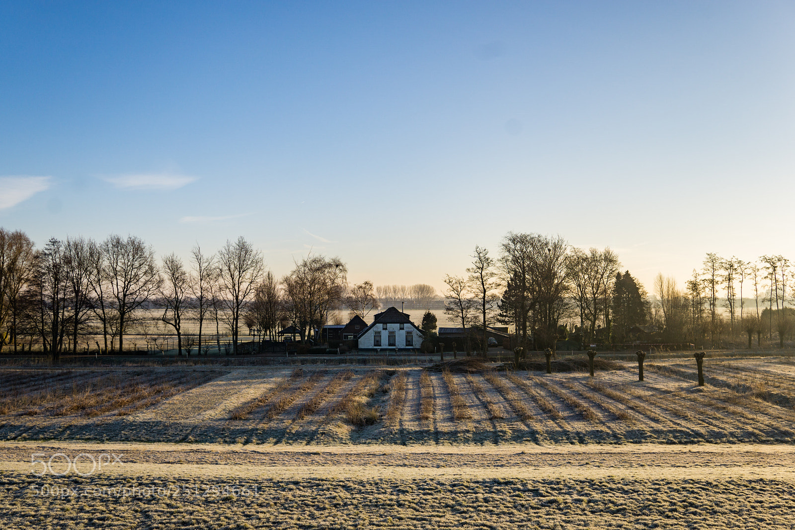 Sony a6000 sample photo. Farm in the morning photography