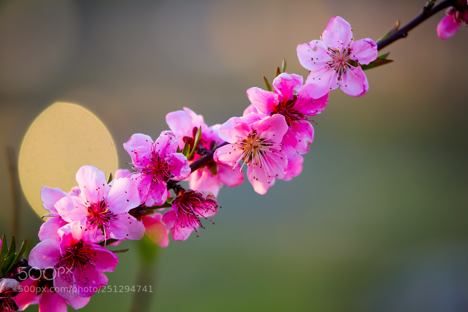 Canon EOS 5D Mark II sample photo. Untitled photography