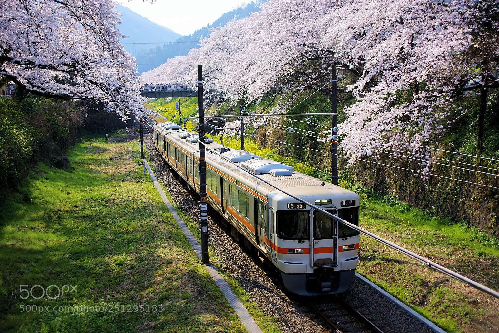Pentax K-1 sample photo. B photography