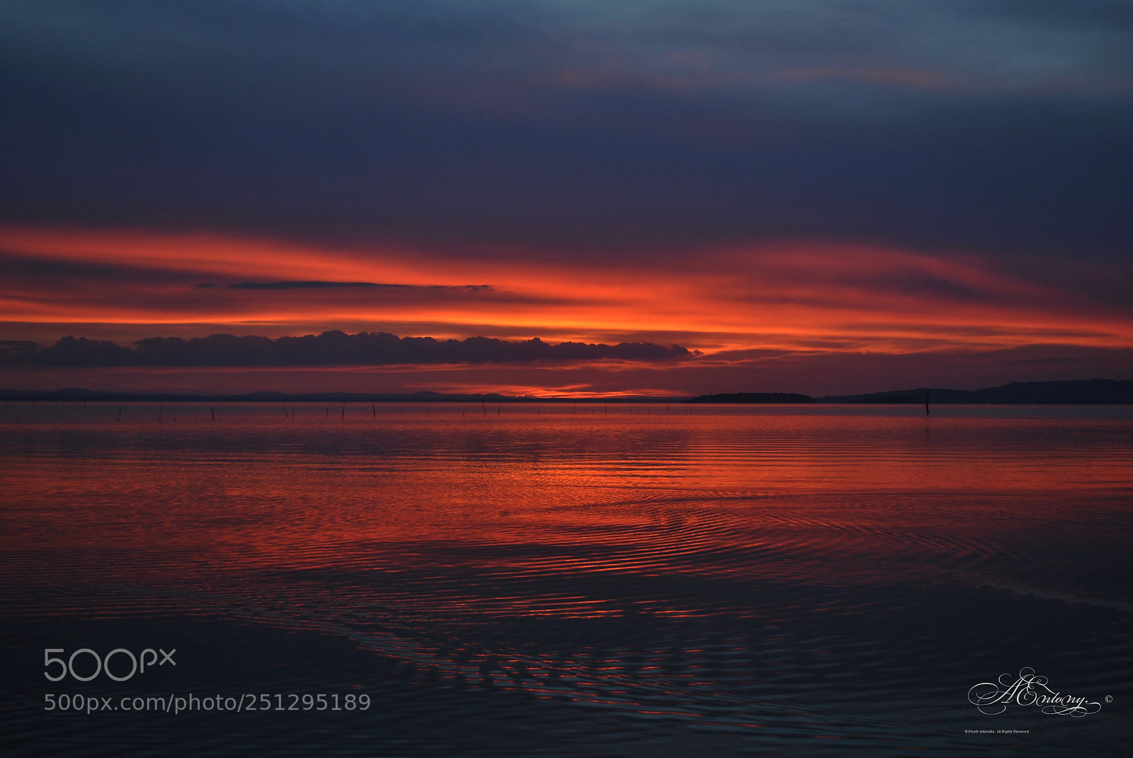 Nikon D3000 sample photo. Al tramonto, sembra che photography