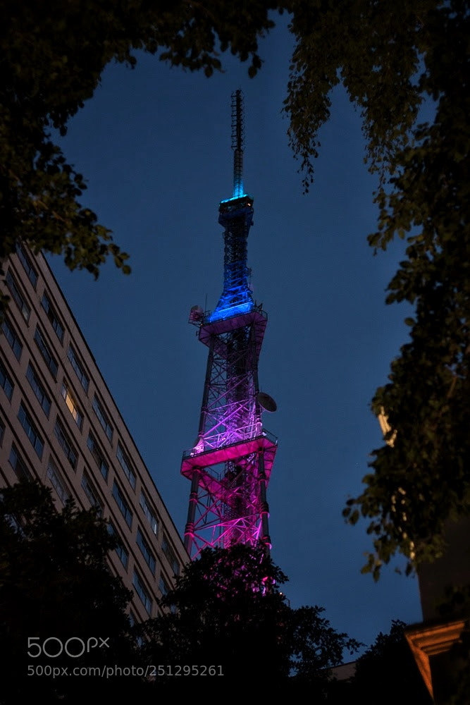 Canon EOS 750D (EOS Rebel T6i / EOS Kiss X8i) sample photo. Colorful reception photography