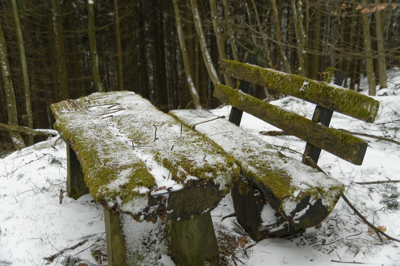 Nikon D3200 sample photo. Mossy relax place photography
