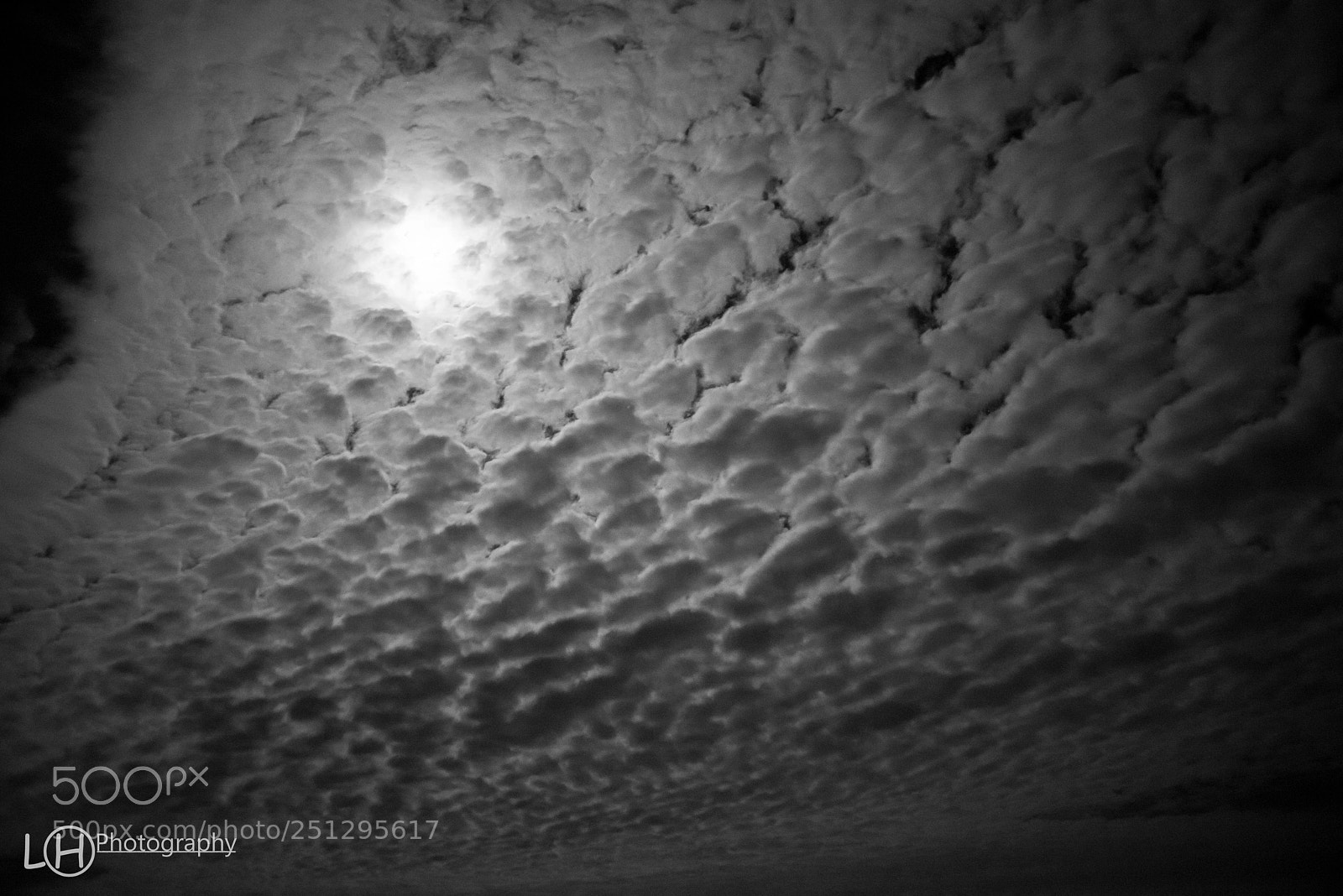 Nikon D810 sample photo. Night sky photography