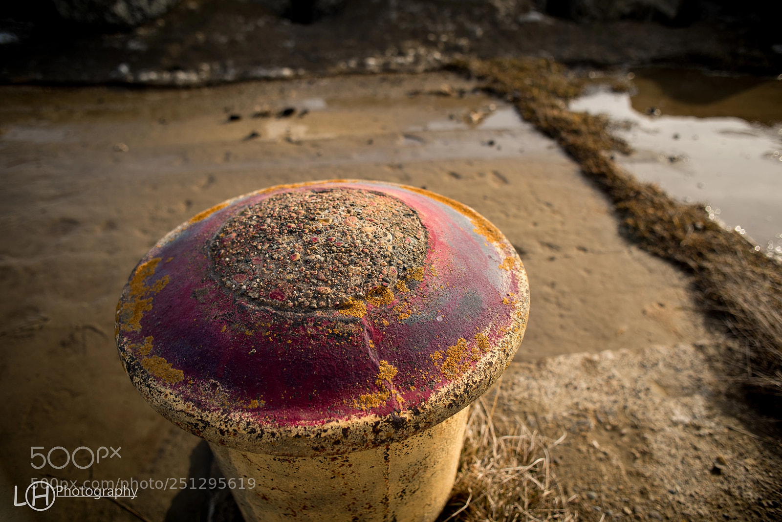 Nikon D810 sample photo. Untitled photography