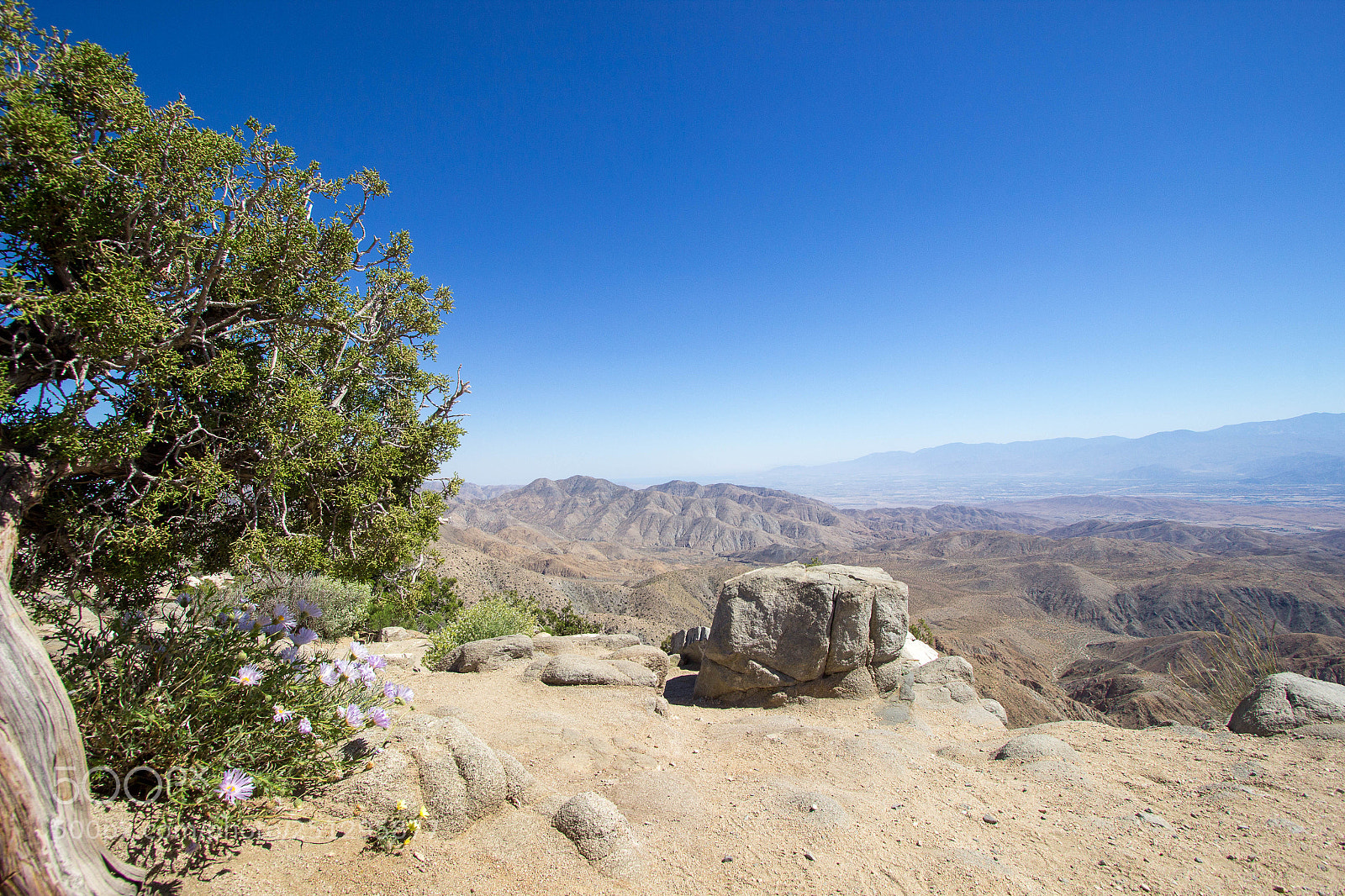Canon EOS 600D (Rebel EOS T3i / EOS Kiss X5) sample photo. Coachella valley photography