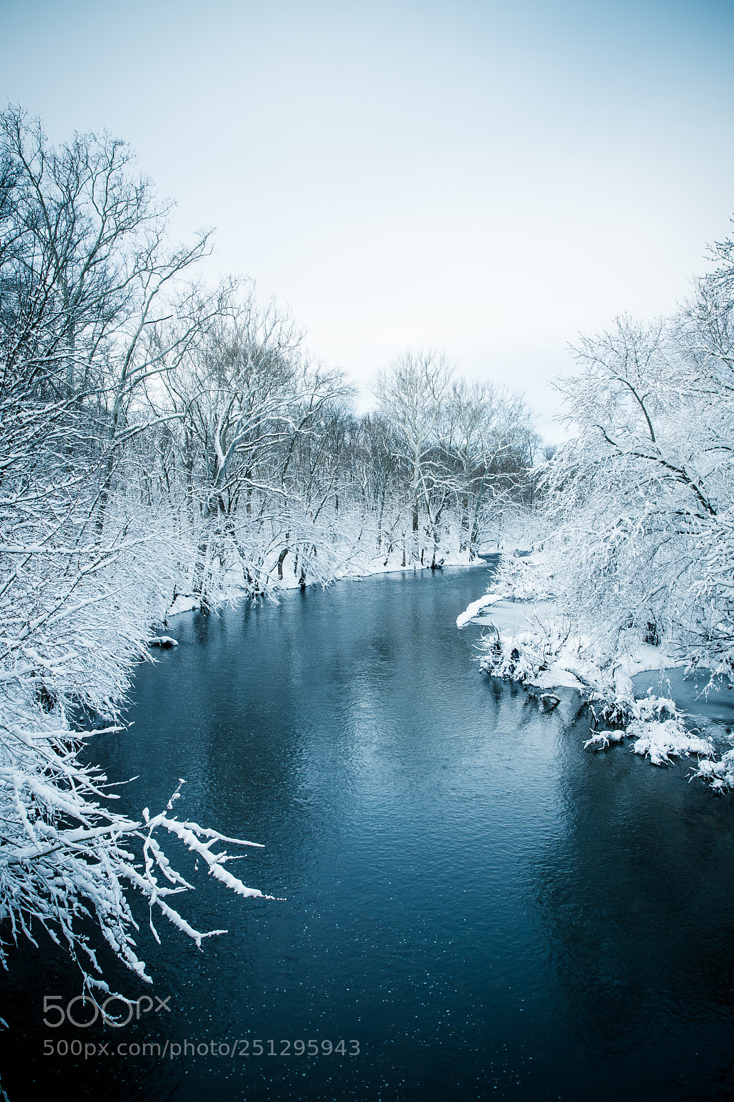 Canon EOS 6D Mark II sample photo. Winter's dead photography