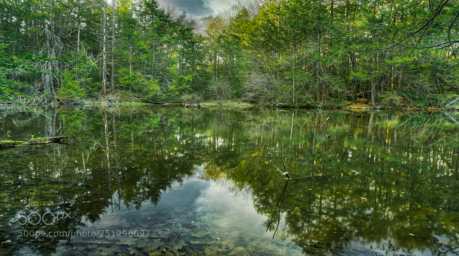 Sony a7R sample photo. Roaring brook nature center 2 photography