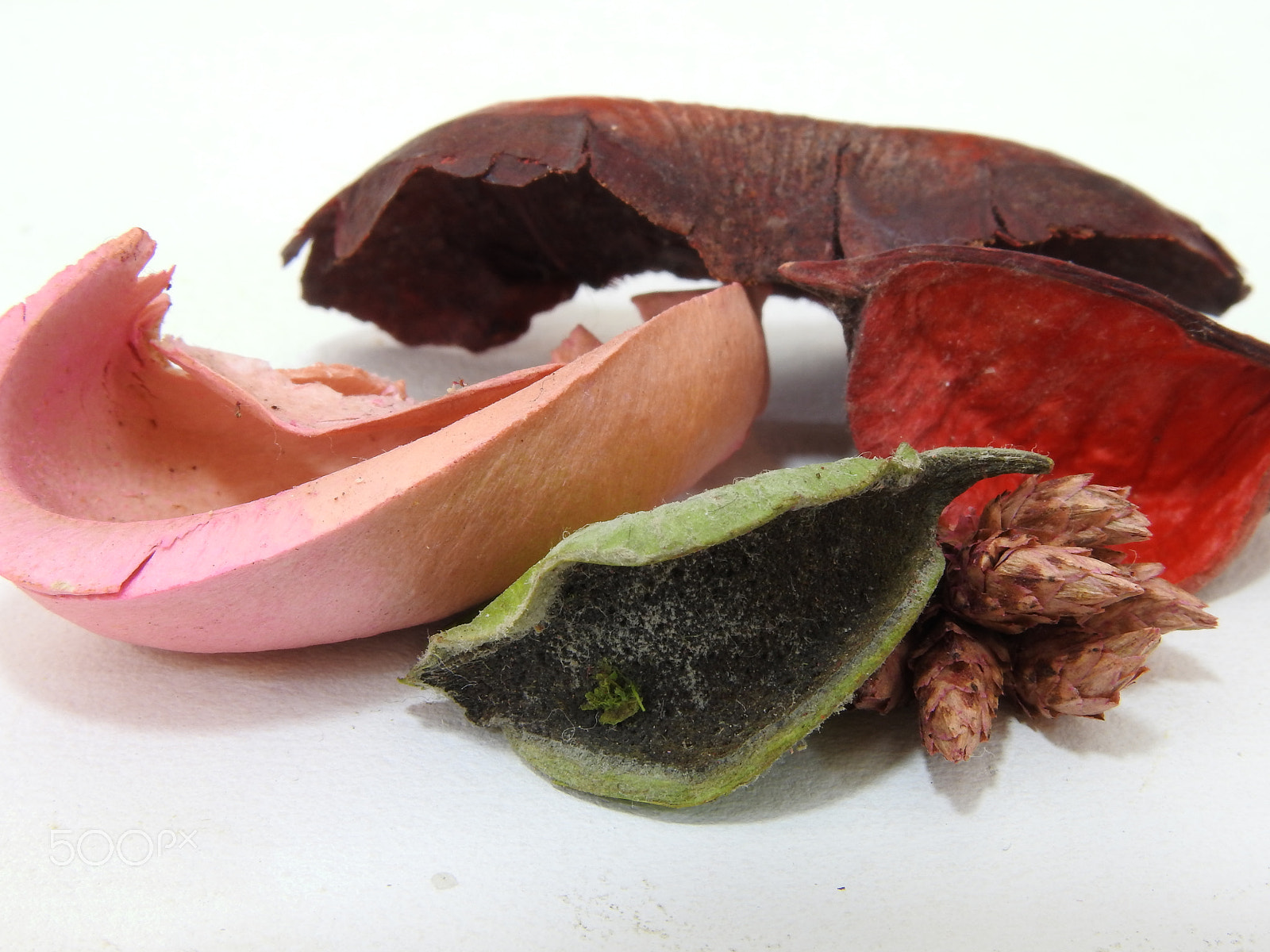 Nikon COOLPIX P900s sample photo. A pot pourri close-up photography
