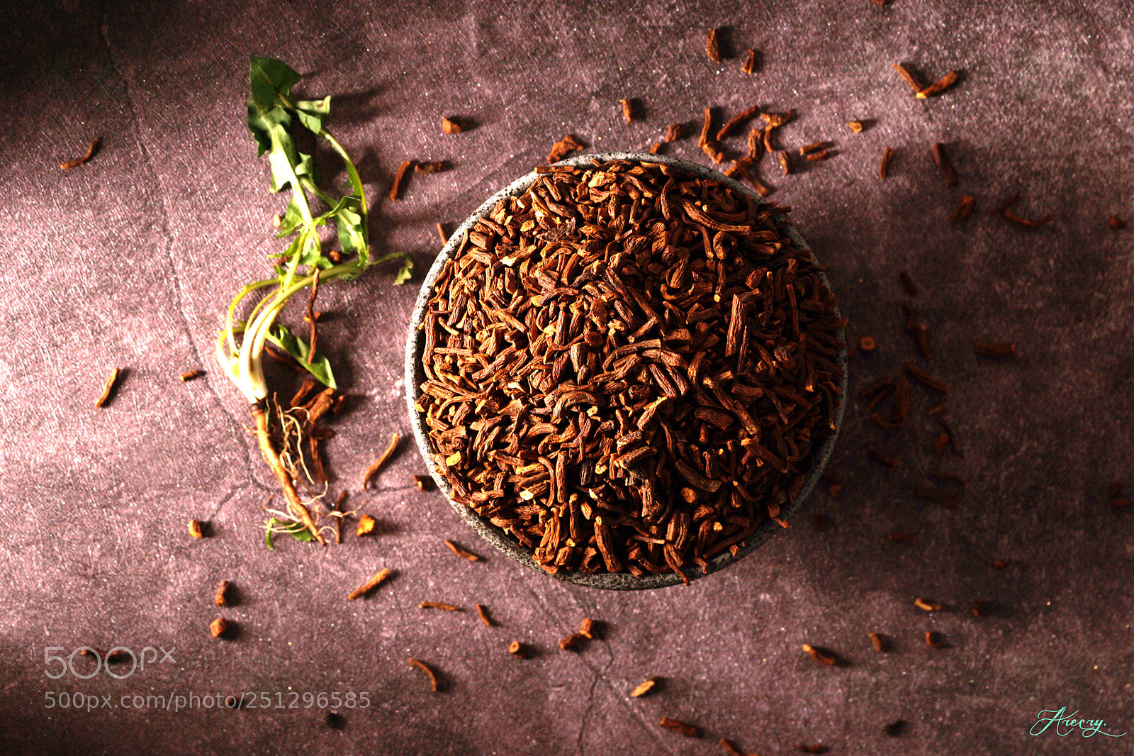 Sony a6000 sample photo. Dandelion fine root photography
