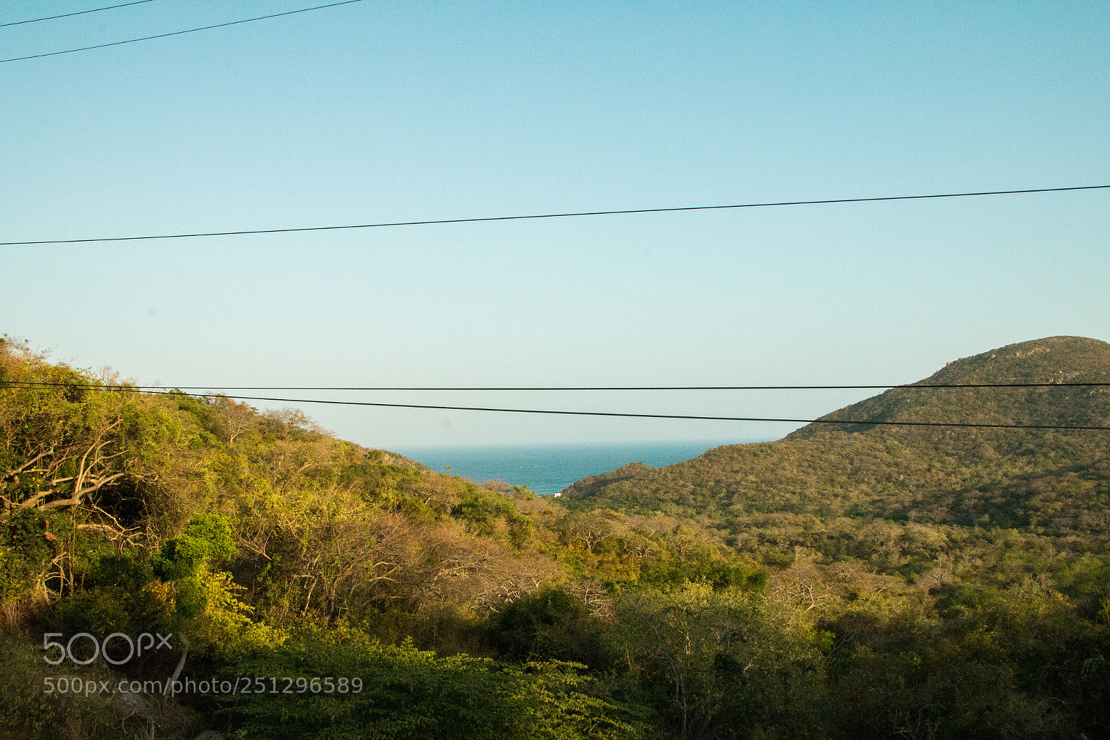 Canon EOS 70D sample photo. Img photography