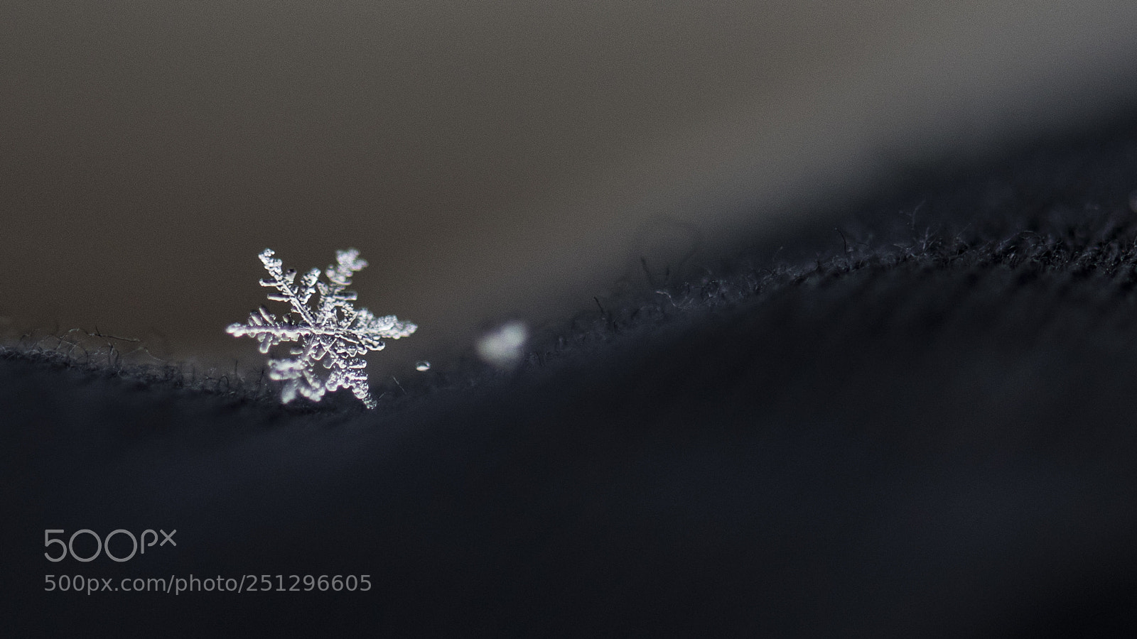 Nikon D810 sample photo. Snowflake photography