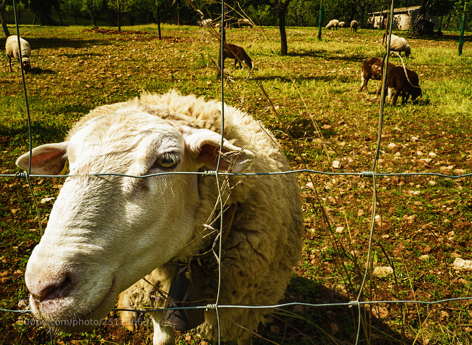 Olympus OM-D E-M5 II sample photo. Contact photography