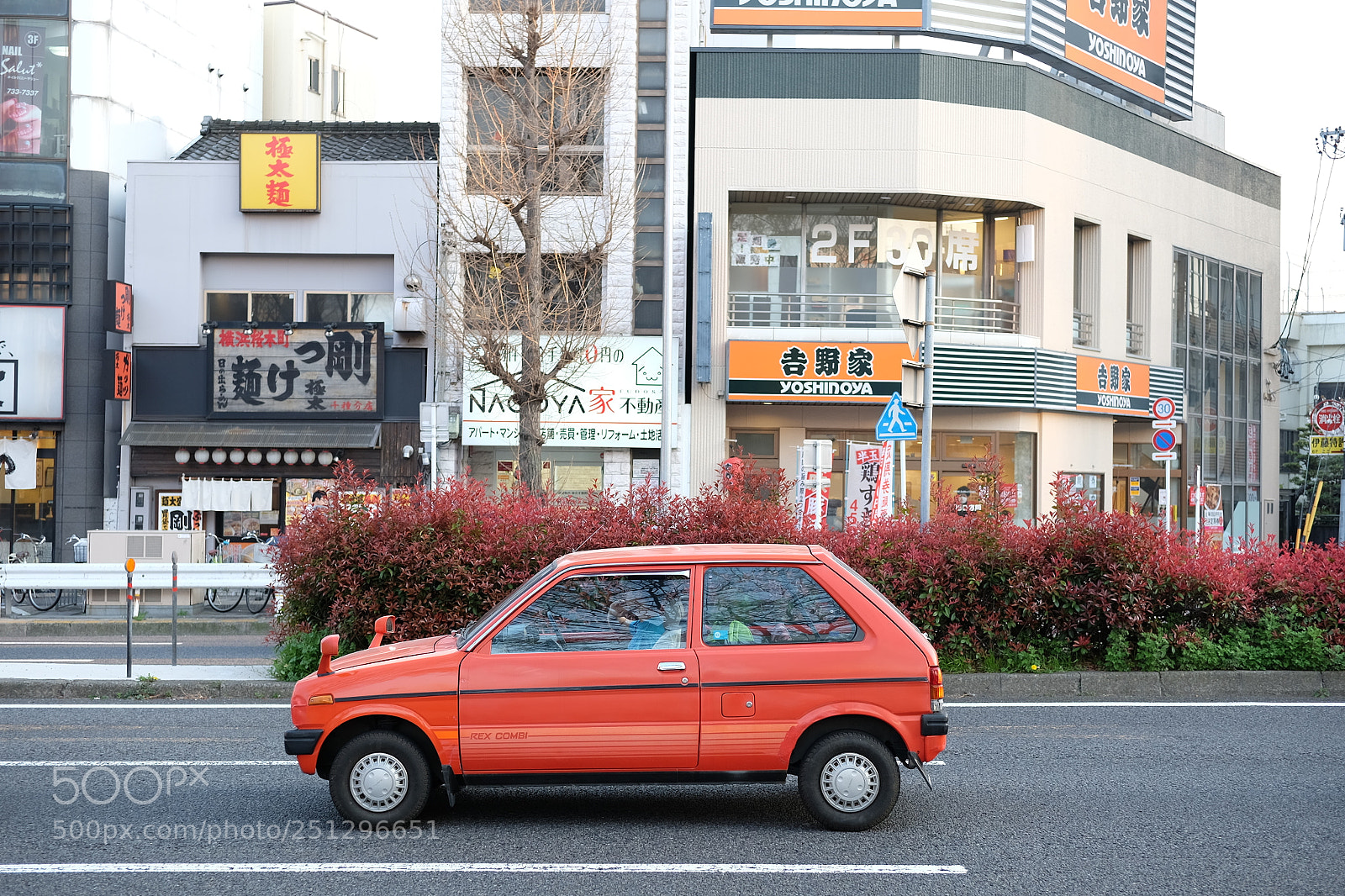 Fujifilm X-E2 sample photo. Subar rex photography