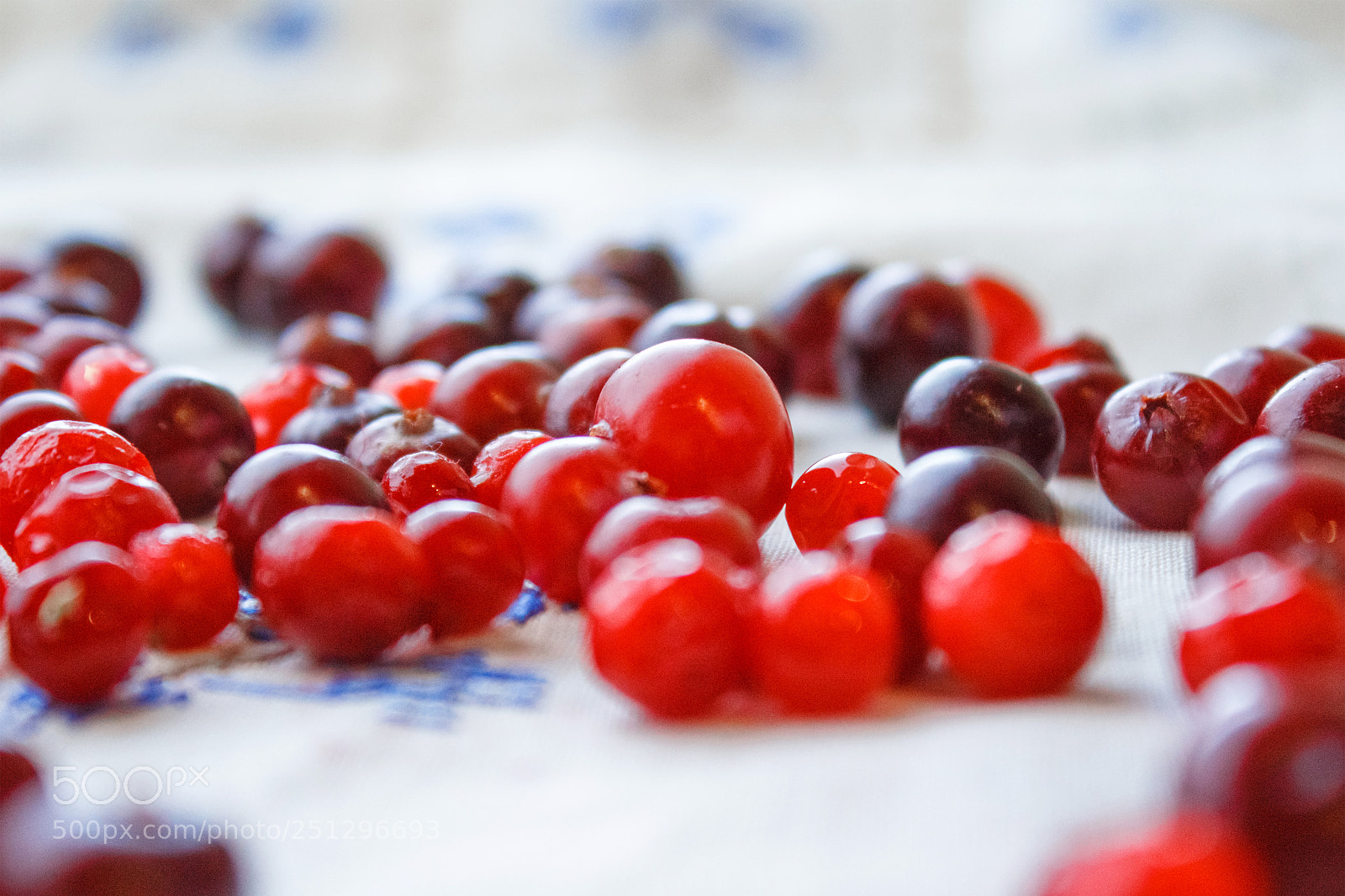 Canon EOS 650D (EOS Rebel T4i / EOS Kiss X6i) sample photo. Ripe red berries photography