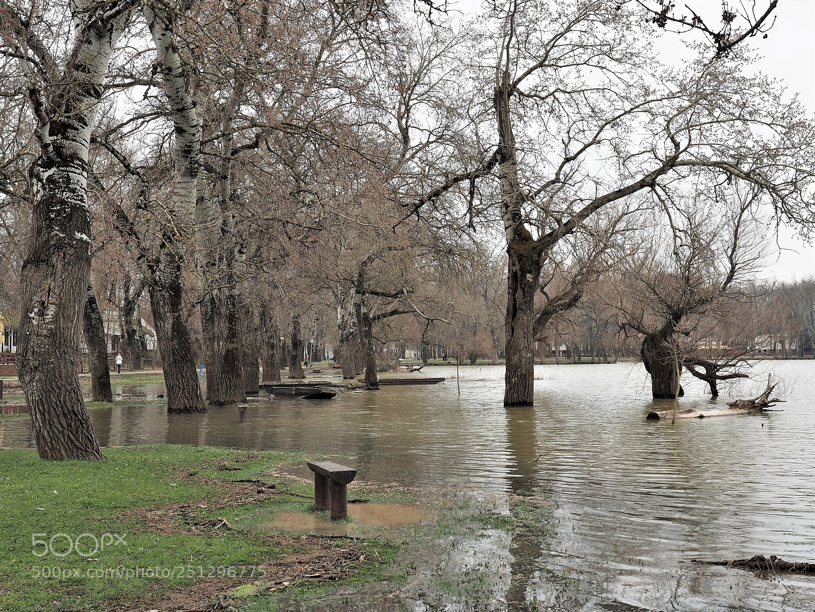 Olympus OM-D E-M5 II sample photo. Flash flood photography