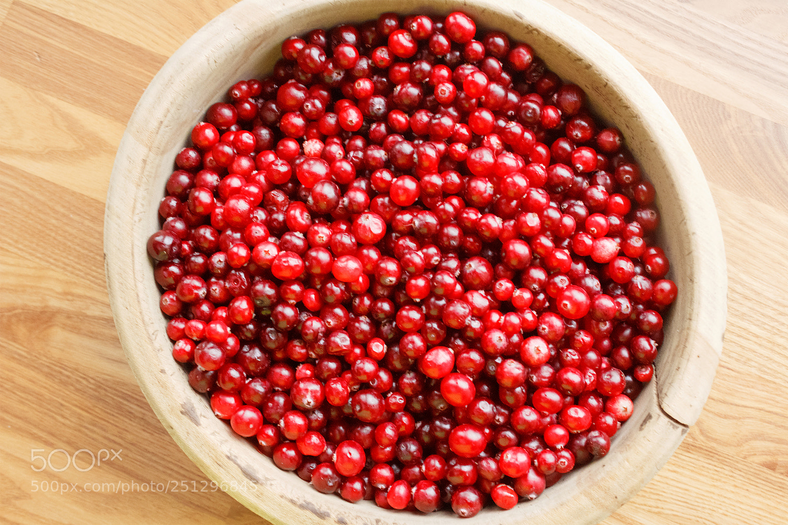 Canon EOS 650D (EOS Rebel T4i / EOS Kiss X6i) sample photo. Red berries in a photography
