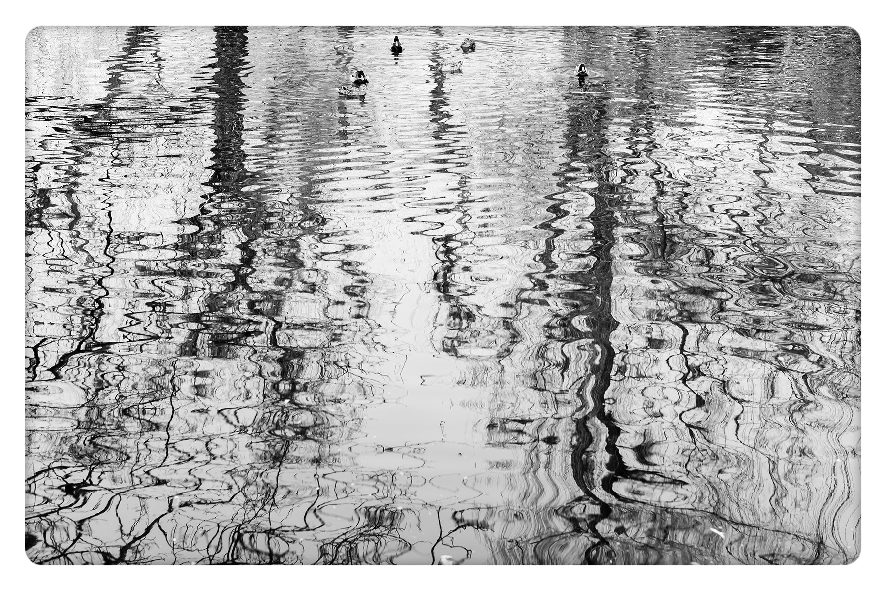Leica M-Monochrom sample photo