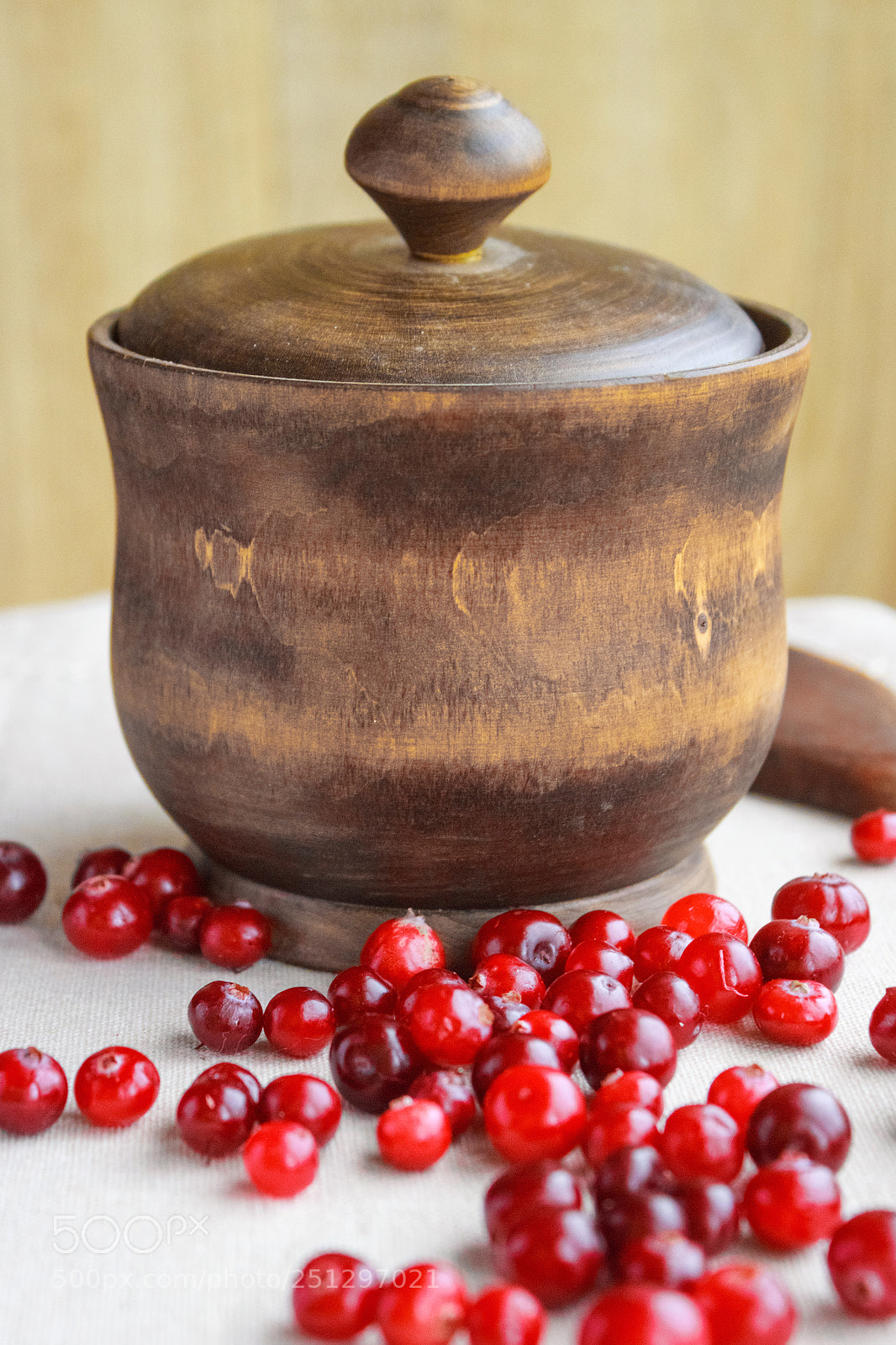 Canon EOS 650D (EOS Rebel T4i / EOS Kiss X6i) sample photo. Red berries and a photography