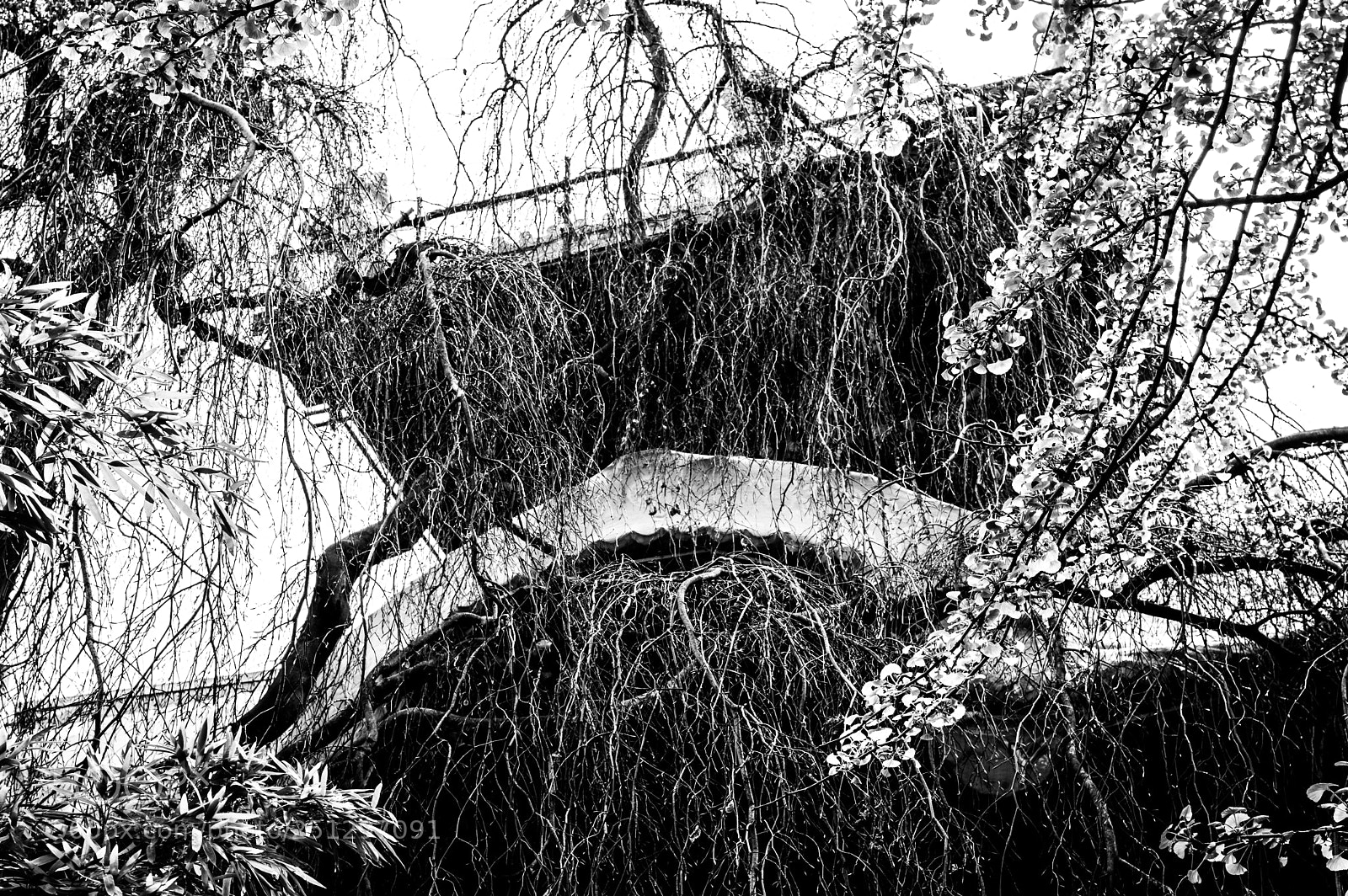 Pentax K-3 sample photo. Untitled photography