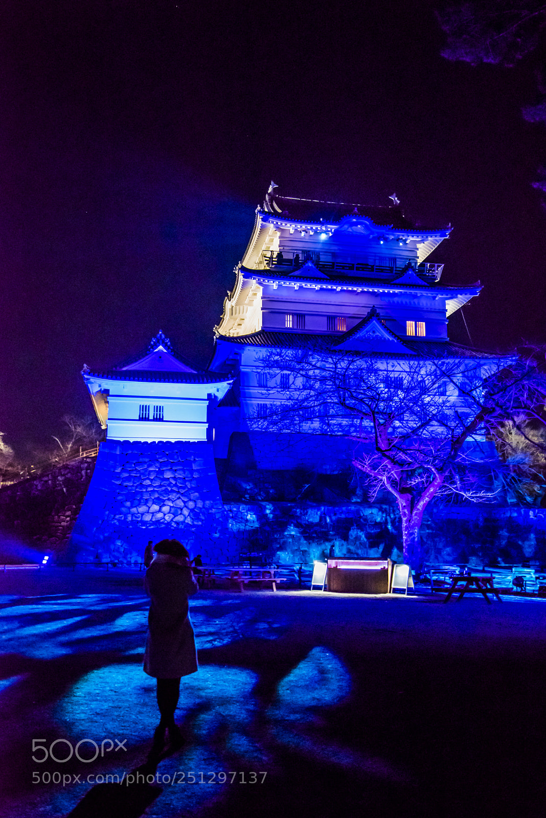 Nikon D810 sample photo. Lighting strikes odawara castle photography