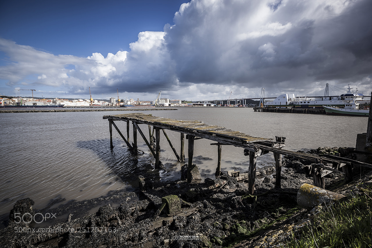Canon EOS 5D Mark II sample photo. Old pier photography